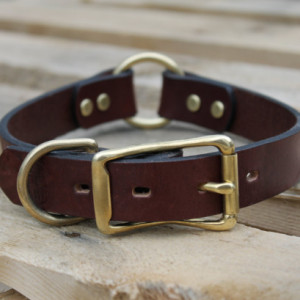 Custom Engraved Leather Dog Collar