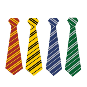 School of Witchcraft & Wizardry House Colours Necktie Set