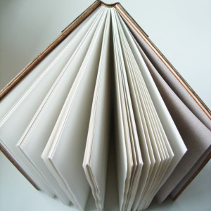 Handmade book, bound in leather and wood