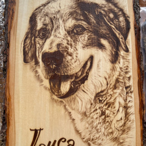 Custom Engraved Pet Portrait on Basswood Large 13"