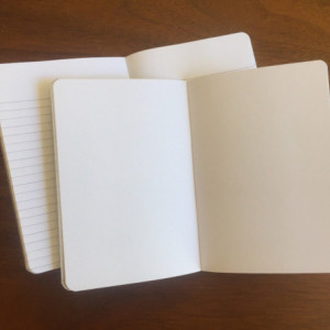 Airplane Notebooks 2 pack 3.5in x 5in Pocket Notebook handcrafted journal diary sketchbook gift set handmade kraft Premium Notebook no logos