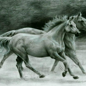 RUNNING FREE Horse art print by Carla Kurt Signed print