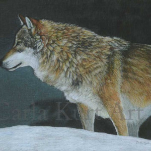 A COLD WINTER NIGHT wolf art print by Carla Kurt
