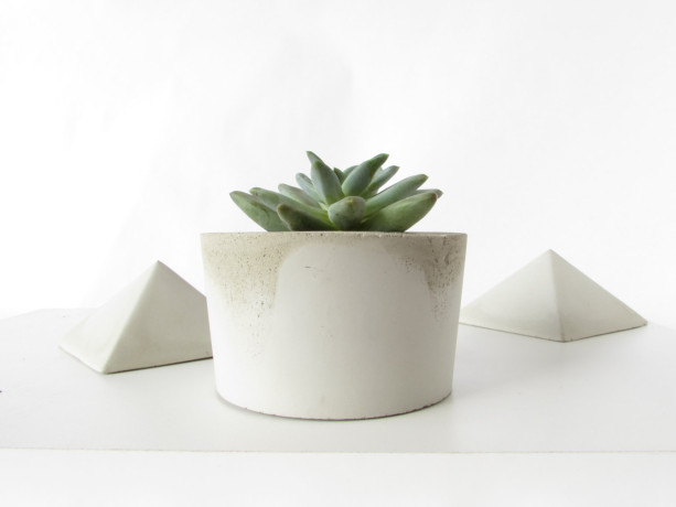 Concrete Planter || Cactus and Succulent Cement Pot