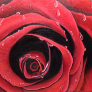 The Rose - oil painting with rain drops/ 14x18