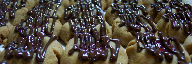 LOW CARB CHOC.Drizzled Thumbprint Peanut Butter Cookies