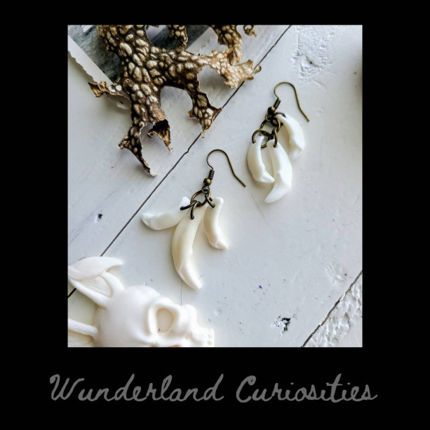 Wunderland jewelry// Coyote teeth earrings// one of a kind