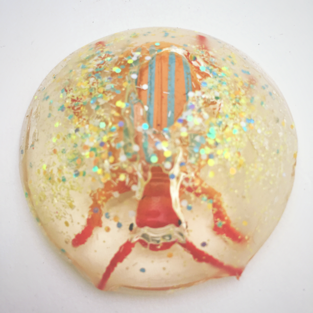 Dissolving Beetle Jelly Resin Paperweight