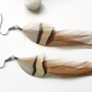 Brown Feather Earrings - Chukar Partridge Earrings  Feather Earrings - Natural Feathers
