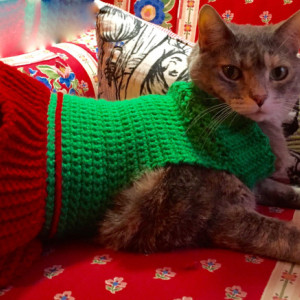 Crocheted Christmas Sweater for Cat or Small Dog - Red/Green Turtleneck Ruffled Skirt Pet Wear
