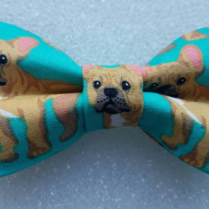 Teal French bulldog pet bow tie