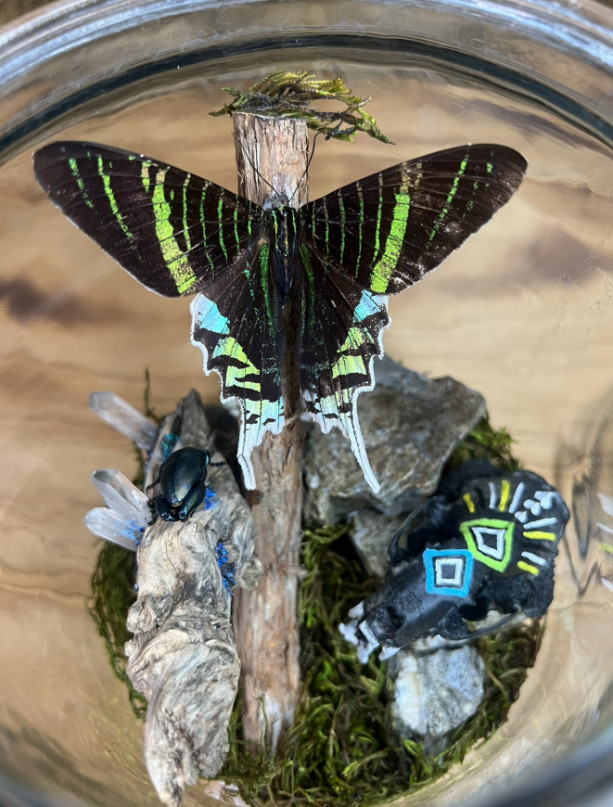 Mink Skull & Butterfly Terrarium