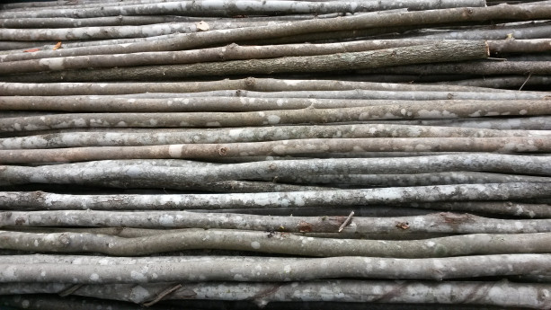 Traditional "Blank" Sticks