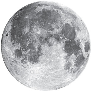 Full Moon Wall Decal - 22" wide