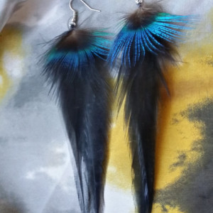 Black Feather Earrings with Peacock Accent Feather _ Iridescent Peacock Feather Earrings