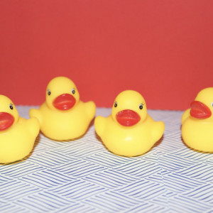 Mini Rubber Duck/Ducky Refrigerator Magnets Set of 4