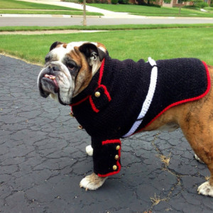 Marine coprs bulldog sweater - Marine dress blues bulldog clothes - dog Christmas clothes - Hobbyist License #21512 made to order