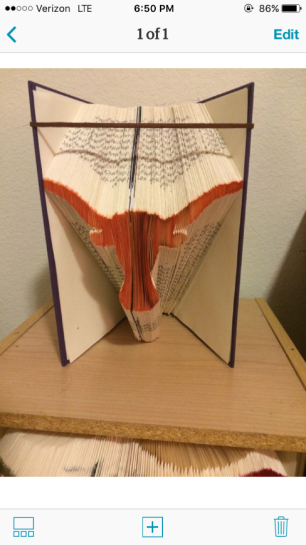 Longhorns folded book