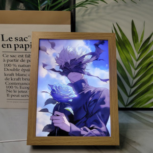 Customized Anime characters LED Light Frame and pciture