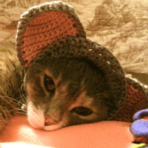 Crocheted Mouse Hat for Your Cat or Small Dog - Pet Costume - Photo Prop