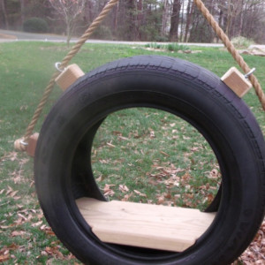 Recycled Tire Tree Swing