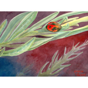 Ladybug and Rosemary Art Print from Original, 5x7