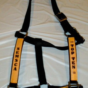 Custom nylon horse halters with personalized leather overlay.