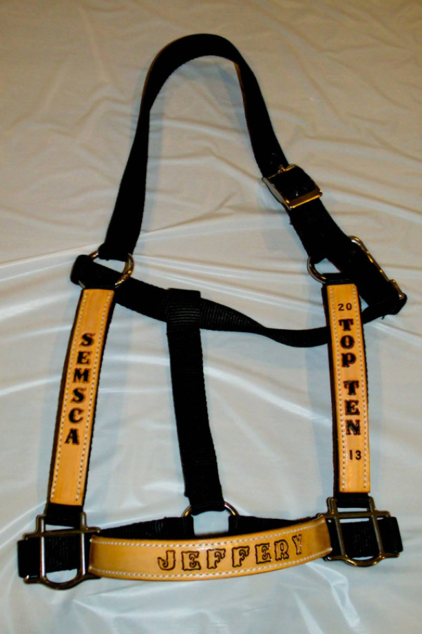Custom nylon horse halters with personalized leather overlay.