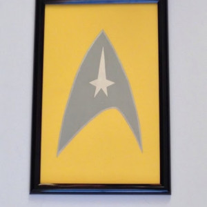 Star Trek Dry Erase Note Board