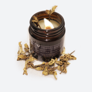 Gardenia Garden Handmade Beeswax Candle 4 oz / Transcend Cosmetics