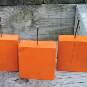 Pumpkin Orange Wood Display Blocks - Set Of 4
