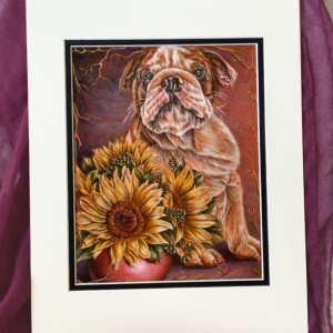Original Drawing, Bulldog with Sunflowers pet portrait, pencil drawing, dog, animal, handmade wall art, gift, purple, brown