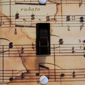 Music Notes Light Switch Cover