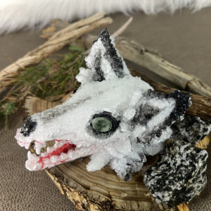 Arctic Fox Skull with Nature Stand