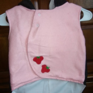 The Strawberry Shortcake Hooded Vest