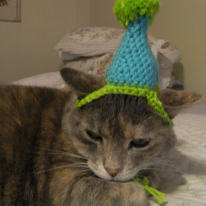 Crocheted Birthday Party or Clown Hat for Cat or Small Dog Costume Aqua and Lime Green