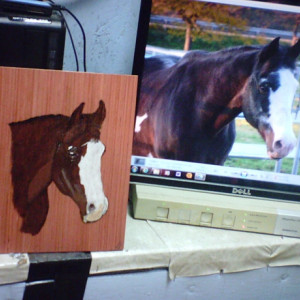 JERRY'S COLORED WOOD BURN PET IMAGES