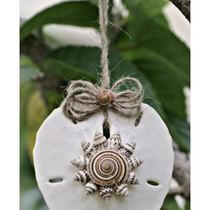 Sand Dollar Ornament, Natural Sundial Spiral Seashell Mini Conch Shells Holiday Coastal Mermaid Beach Decor