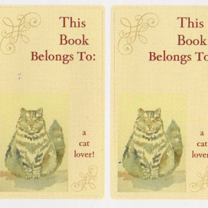 Bookplates w/ Cat Art - Set of 5 self stick bookplates -GRAY FLUFFY CAT