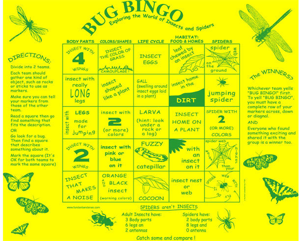 Bug Bingo Fundana
