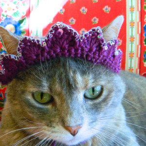 Crochet Crown Tiara for Your Cat or Small Dog