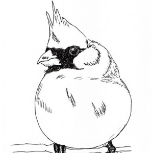 Bird on Flower Black and White Original Art Illustration Drawing Ink Nature Animal Home Decor 7.5 x 9.5