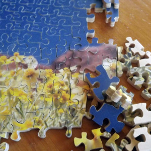 Hand Cut Wooden Jigsaw Puzzle "Wild Flowers in the desert"