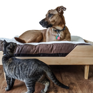 Wooden Dog Bed- The Willow