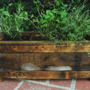 Planter box, garden box, garden pot, Planter, 3-way planter box, Rustic planter box, Vintage planter box, herb planter box, herb pot, herbs