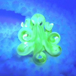 The Blue Illuminati UV Kracken Collectible Wearable  Boro Glass Octopus Necklace Made to Order