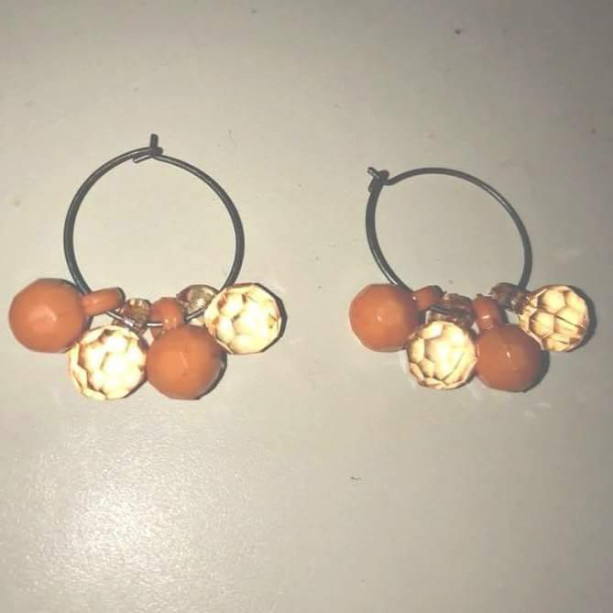 The Gator and Vol Earrings