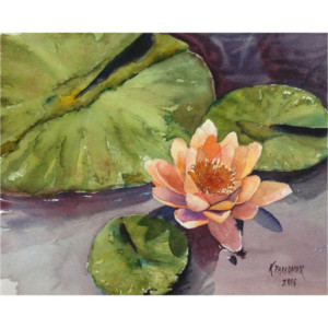 Water Lily Print from Original Watercolor, 8x10
