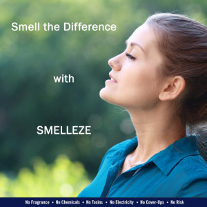 SMELLEZE Reusable Formaldehyde Smell Removal Deodorizer Pouch: Rids Chemical Odor Without Cover-Ups in 150 Sq. Ft.