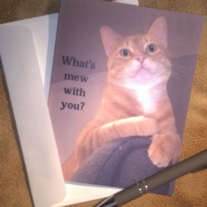 Orange Stripe Tabby Cat Photo Greeting Cards-Handmade Notecard-Cat Photo Notecard-Cat Card-Cat Cards-orange cat-tabby cat-cat art stationery